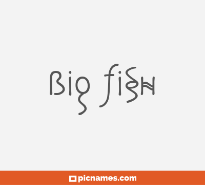 Big Fish